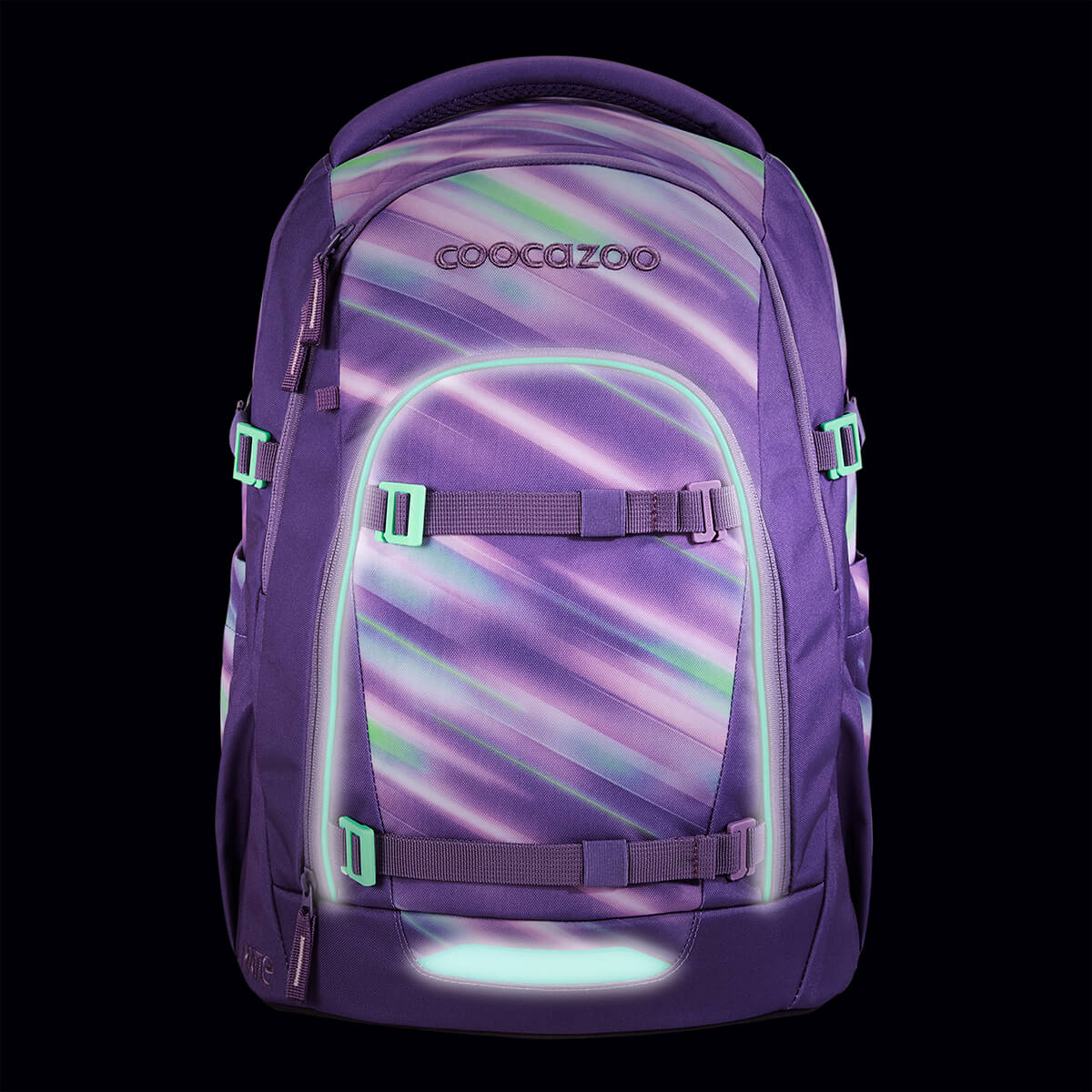 Coocazoo Schulrucksack MATE Artic Lights